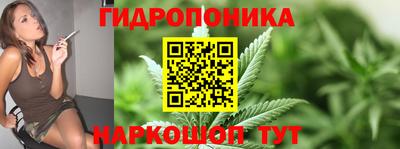 эйфоретик Берёзовский
