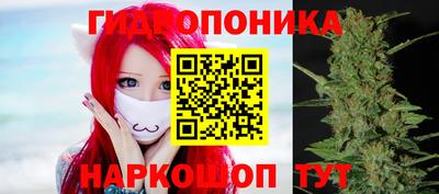 эйфоретик Берёзовский