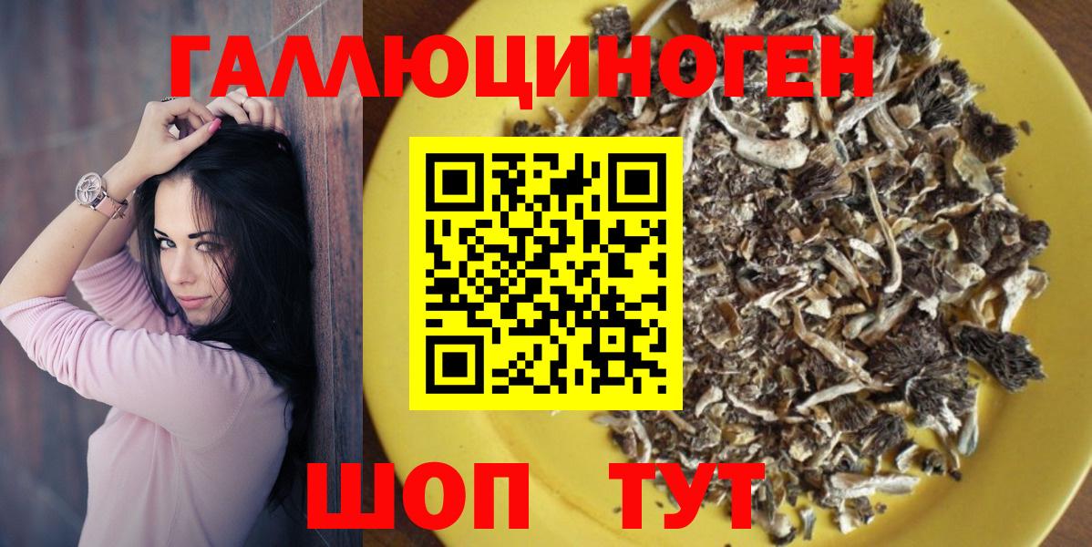 Галлюциногенные грибы Cubensis Зеленогорск